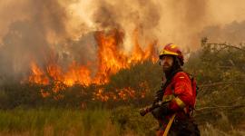 Un efectivo de la Unidad Militar de Emergencias (UME) en la localidad de A Espasa, durante el incendio forestal que permanece activo en Chandrexa de Queixa (Ourense).