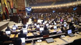 La Asamblea pidió a la Corte Constitucional más tiempo para una audiencia