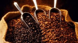 El café ecuatoriano es apetecido en España por su calidad.