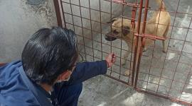 UBA tiene un canal de denuncias para atender casos de maltratos en Quito.