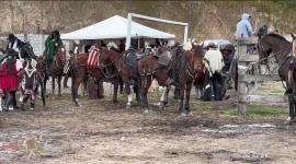 Agrocalidad confirmó 24 casos de influenza equina en seis provincias del país. Ante ello, las autoridades sanitarias ordenaron la suspensión de eventos masivos.

Un reportaje de  Juan Pablo Toro
