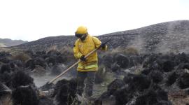 La vegetación quedó destruida en el Parque Nacional Cotacachi Cayapas después de cinco días del incendio forestal.