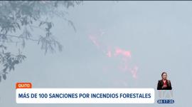 La Agencia Metropolitana de Control inició más de 100 procesos sancionatorios por incendios forestales en Quito, con multas que alcanzan los 35 mil dólares.
Un reportaje de Mishell Villacís