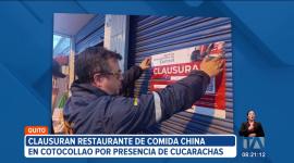 Autoridades encontraron cucarachas en un restaurante de comida china en Cotocollao, norte de Quito, por lo que el establecimiento fue clausurado.
Un reportaje de Juan Miguel Rodríguez