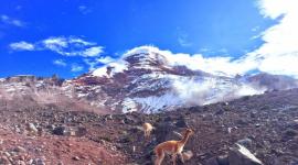 Los Parques Nacionales están abiertos a turistas nacionales y extranjeros.