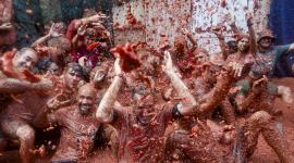 Con una munición festiva de 120 000 kilos de tomate, Buñol se sumerge un año más en su Tomatina, una de las fiestas españolas más internacionales, con 22.000 participantes.
