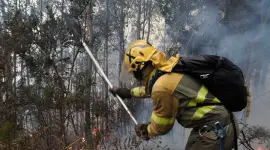 Dos bomberos fueron arrestados por migración mientras apagaban el fuego en Washington.