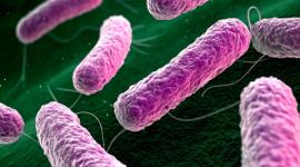 La bacteria 'come carne' puede provocar una infección que se extiende bajo la piel y puede destruir la grasa y el tejido que recubre los músculos.