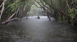 De acuerdo con el Inamhi las lluvias serán en distintas provincias de la Amazonía.