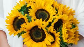 Cada 21 de septiembre las redes sociales se inundan de imágenes de flores amarillas.