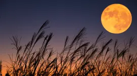La Luna de Cosecha será visible en todo el Ecuador, según el Observatorio Astronómico de Quito.