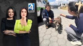 Revise las noticias más destacadas de Quito en la Emisión Central del Noticiero 24 Horas de este lunes 8 de septiembre del 2025. Con Stephany Paz.