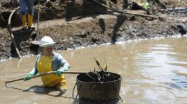 Petroecuador ha recuperado 15 200 barriles de crudo tras limpieza de derrames