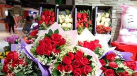 La exportaciones de rosas ecuatorianas rompieron récord de exportaciones hacia China