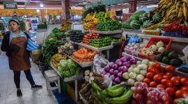La agricultura y sivicultura es uno de los segmentos que más han crecido en el país en 2025.