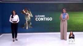 Un espacio dedicado a la adopción responsable, todos los animalitos fueron rescatados por la Unidad de Bienestar Animal del Municipio de Quito, muchos sufrieron abandono y maltrato.