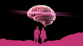 Hábitos saludables para cuidar la salud del cerebro