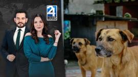 Revise las noticias más destacadas de Guayaquil en nuestro Noticiero 24 Horas Segunda Emisión de este jueves 25 de septiembre del 2025. Con Carlos Sacoto y Valerie Villalba.