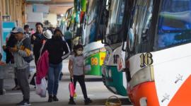 Los transportistas podrán acceder a compensaciones por la eliminación del subsidio al diésel.