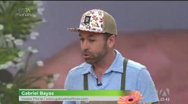 Las plantas también “comen” nutrientes para crecer fuertes y saludables. El experto Gabo de las flores nos comparte sus mejores tips y consejos para cuidar tus flores y mantenerlas radiantes.
