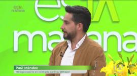 Paúl Méndez, experto canino, explica cómo las personalidades de los perros reflejan cada vez más las de quienes los cuidan. Descubre cómo hábitos, gestos y manías de tu mascota imitan tu vida diaria.