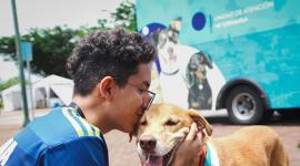 La aplicación ecuatoriana permite rescatar y dar en adopción a mascotas.