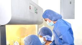 La ‘variante Frankenstein’ del covid representa un riesgo bajo según la OMS