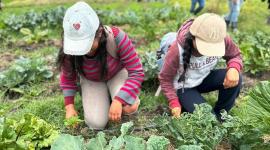 Este bachillerato busca fortalecer la seguridad alimentaria, la economía circular y solidaria, y la soberanía alimentaria,