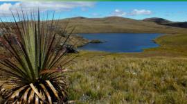 Loma Larga preveía una inversión de entre 400 y 500 millones de dólares