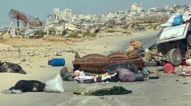 El cadáver de una mujer que ha sido asesinada a tiros yace en la carretera de Al Rashid, a las afueras de la ciudad de Gaza.