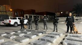 El alcaloide se encontraba camuflado en bultos bajo la carga declarada del contenedor, la cual correspondía a materiales auríferos (concentrado de oro).