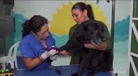 En esTAmañana, Andrea Galárraga nos cuenta sobre la campaña de esterilización gratuita enfocada en machos de perros y gatos, destacando la importancia del cuidado responsable de nuestras mascotas.