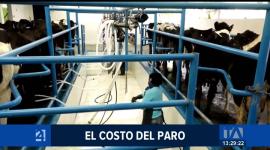 La provincia más afectada en estos 22 días de paro es Imbabura, donde los sectores ganadero, comercial y hotelero reportan más de 50 millones de dólares en pérdidas. Representantes de estos sectores solicitan al Gobierno medidas de reparación.

Un reportaje de María Fernanda Utreras