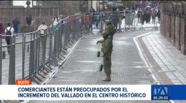 Comerciantes y transeúntes expresan su preocupación ante el incremento del vallado y del despliegue policial y militar en el Centro Histórico de Quito. Aseguran que, en el marco del paro convocado por la Conaie, cada vez menos turistas nacionales y extranjeros visitan el casco colonial.
Un reportaje de Stephany Paz