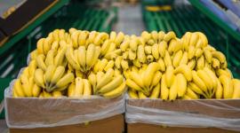 El banano es uno de los principales productos de exportación de Ecuador