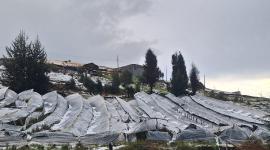 Una fuerte granizada provocó daños en Cayambe el 14 de octubre del 2025