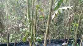 Un operativo del Ejército Ecuatoriano permitió encontrar una piscina de 8 000 galones de gasolina blanca.