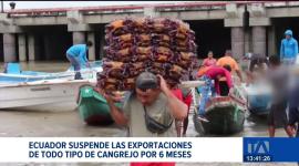 La medida de suspender las exportaciones de cangrejo, que entrará en vigencia el próximo 28 de octubre, genera diversas reacciones entre los sectores productivos.

Un reportaje de Bernarda Cevallos