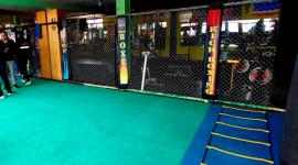 Clausuran gimnasio donde se desarrollaban peleas clandestinas