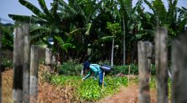 Los migrantes son una importante parte de la fuerza laboral de EE.UU.