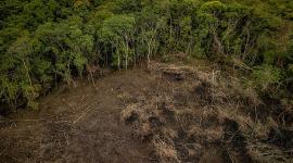 La expansión agropecuaria sigue siendo el principal motor del cambio de uso del suelo en el país