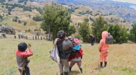 Cuatro niños y una adolescente viven abandonados en el páramo de Bolívar.