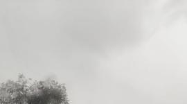 Fuerte lluvia se registra en el sur de Quito este sábado 1 de noviembre