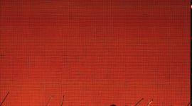 La barranquillera arribará a Ecuador este viernes 7 de noviembre.