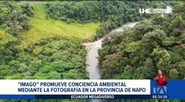 Cámaras trampa registran la diversidad de fauna en la Amazonía ecuatoriana a través de una proyecto realizado por estudiantes universitarios. Además, refuerzan los esfuerzos de conservación desde Quito.

Un reportaje de Nathalie Jiménez
