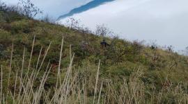Bomberos realizaron tareas de búsqueda en el cerro Puñay.