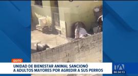 Dos personas fueron sancionadas con una multa superior a once mil dólares en Quito, tras ser captadas golpeando a sus perros. El caso se conoció luego de la difusión de un video en redes sociales donde se observa a dos adultos mayores agrediendo a sus mascotas.

Un reportaje de Mishell Villacís