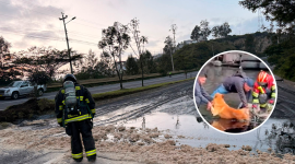 Un perro fue rescatado tras quedar atrapado en brea que se derramó en un siniestro de tránsito en Gualo.