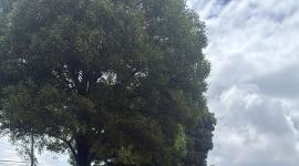 Choque múltiple en la av. Eloy Alfaro en el norte de Quito