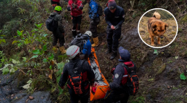 El perrito Jachi fue fundamental para que Lucas sobreviviera en el cerro Puñay.